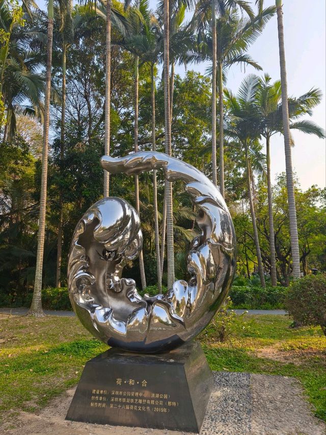 深圳其中一個最漂亮的大型荷花公園