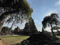 วัดราชบูรณะ : พระนครศรีอยุธยา