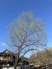 ウンピョンハノク村