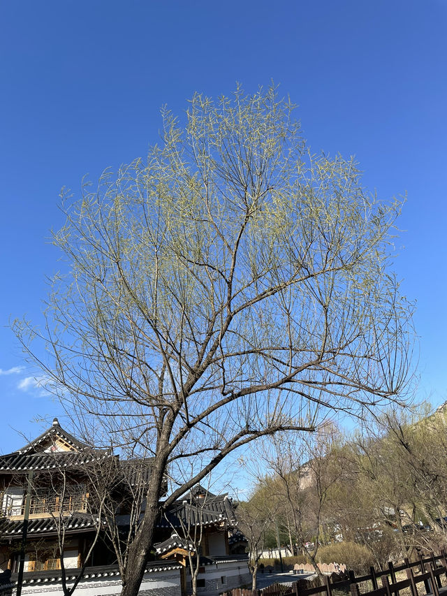 ウンピョンハノク村