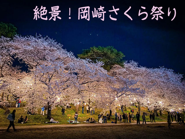 【愛知県】ライトアップが幻想的✨岡崎城公園のさくら