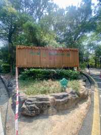 感受大自然的魅力⛰️✨鳳凰山森林公園🧗 