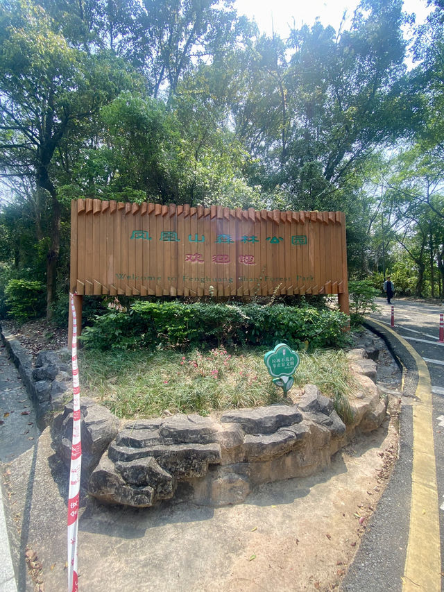 感受大自然的魅力⛰️✨鳳凰山森林公園🧗 