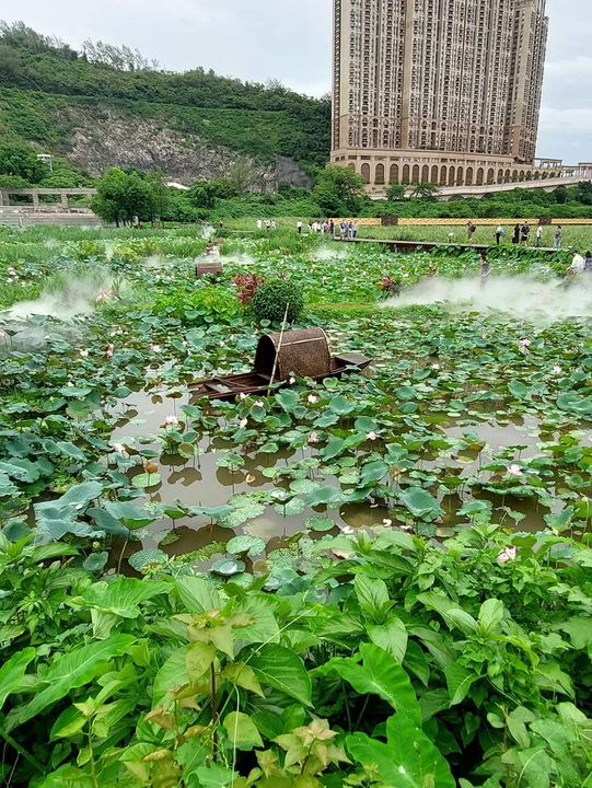 氹仔濕地公園，點都要去一次👍👍👍