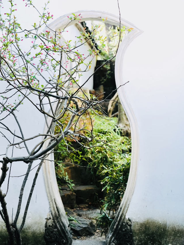 A Floral Pilgrimage to Suzhou's Couple's Retreat Garden in March