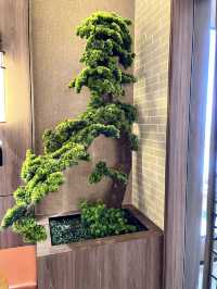 “Beutea: Sip Sustainably, Refresh Naturally”