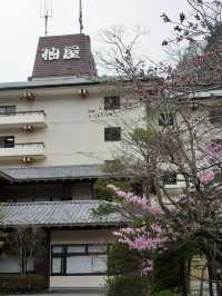 📍川治温泉 湯けむりの里 柏屋/栃木県