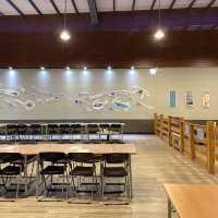 海洋生物互動展館，近距離觀賞與餵食鯊魚