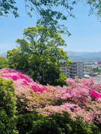 【日本🇯🇵】熊本　つつじ祭り　竹楽亭