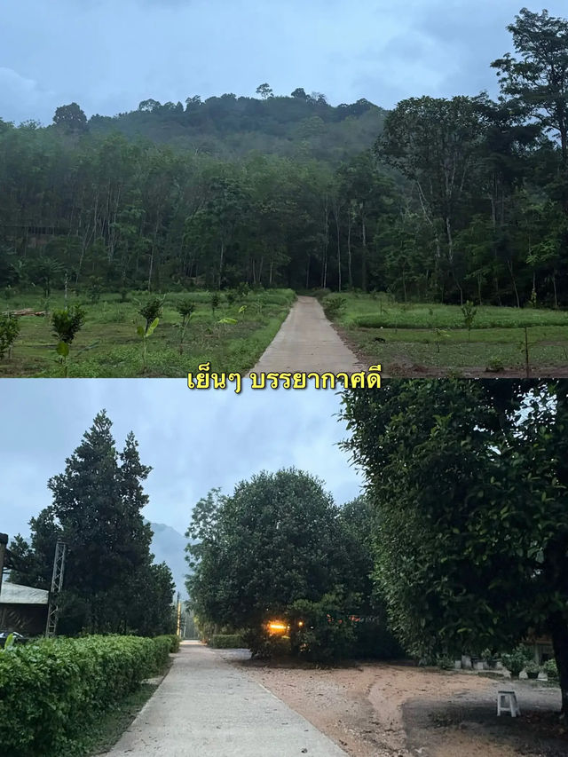 [2 วัน 1 คืน ] รีวิวขับ ATV ที่เขาครามพัทลุง ✨