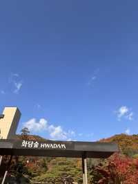 🍁 단풍이 내려앉은 숲, 가을의 화담숲 🌳✨ 