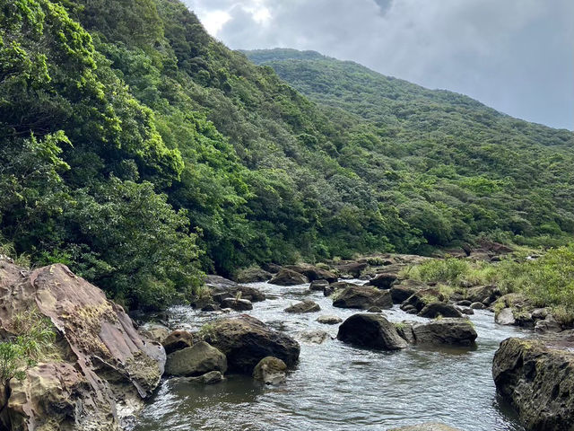 【西表島】東洋のガラパゴス　in西表島