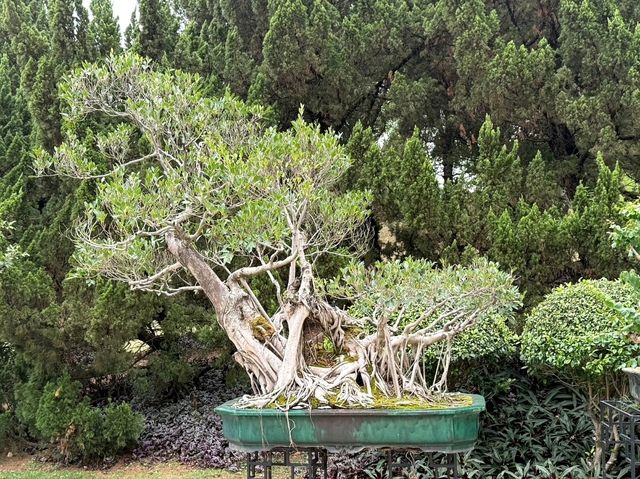 Yuntai Garden 