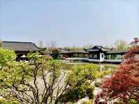 Hàoyuán Garden (滈园) – A Hidden Spring Gem in Shanghai 🌸⛩️🌿