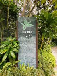 The Secret Ravine Singapore