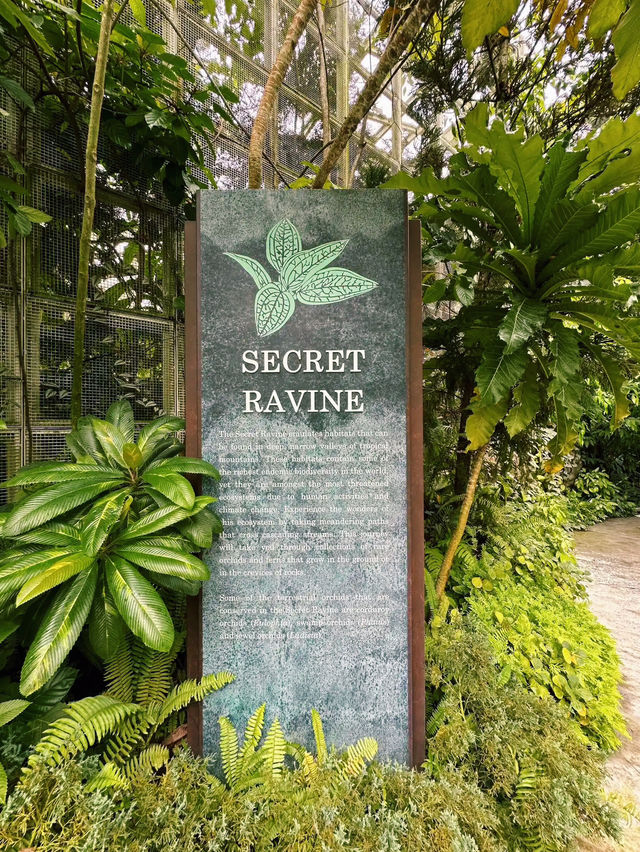 The Secret Ravine Singapore