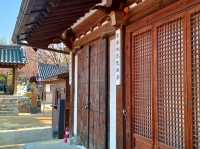 “Cherry Blossoms and Tradition at Namsangol Hanok Village”