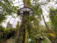 【知的好奇心がくすぐられる】ウニヴェルシテート・チューリッヒ植物園 🌿🔬