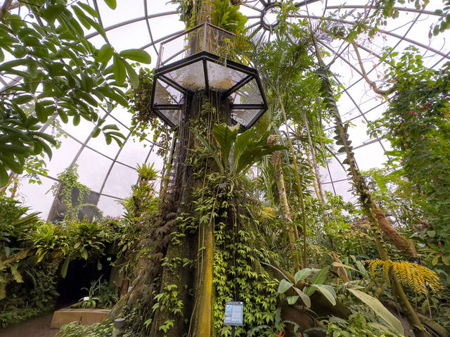 【知的好奇心がくすぐられる】ウニヴェルシテート・チューリッヒ植物園 🌿🔬