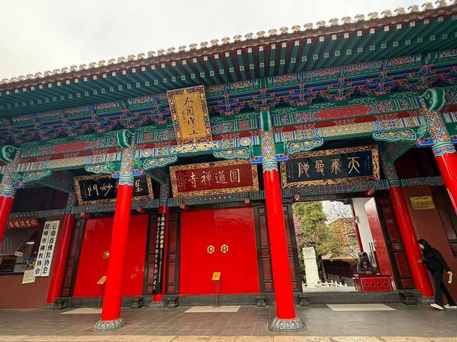 “Spring Serenity: Cherry Blossoms in the Heart of Kunming’s Temples”