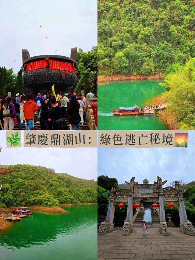🌿 肇慶鼎湖山：綠色逃亡秘境！🌄