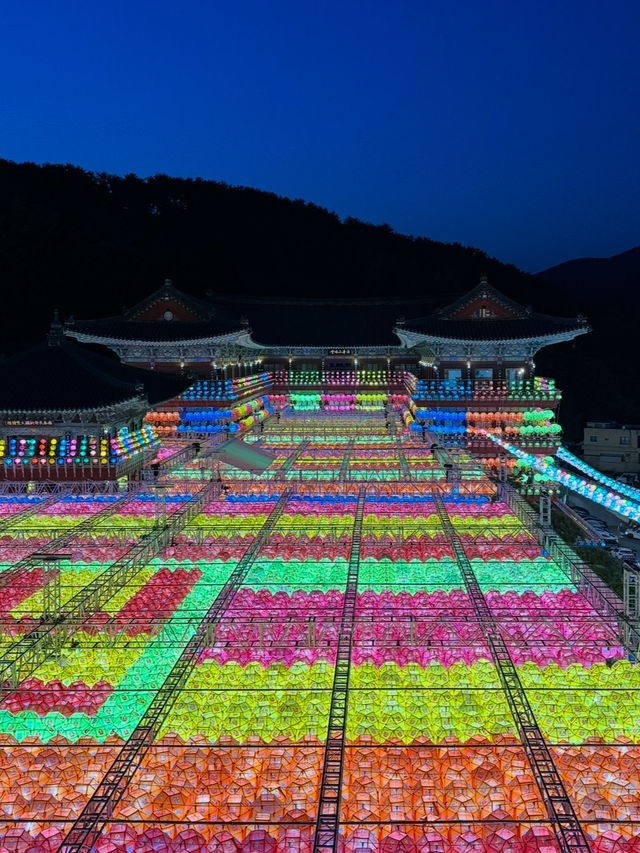 연등들이 밤하늘을 수놓는 삼광사 연등축제🏮