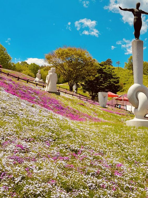 Exploring Saengcho International Sculpture Park