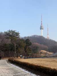 【韓国/ソウル】南山タワーを見ながらお散歩《南山公園》