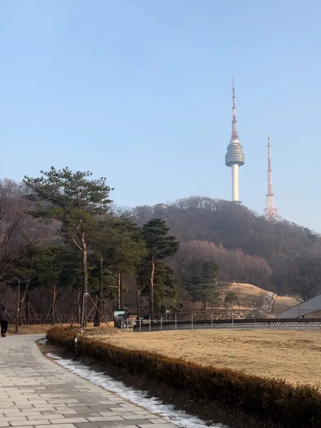 남산 공원 티켓 할인, 운영 시간, 후기 [2025년] | Trip.com