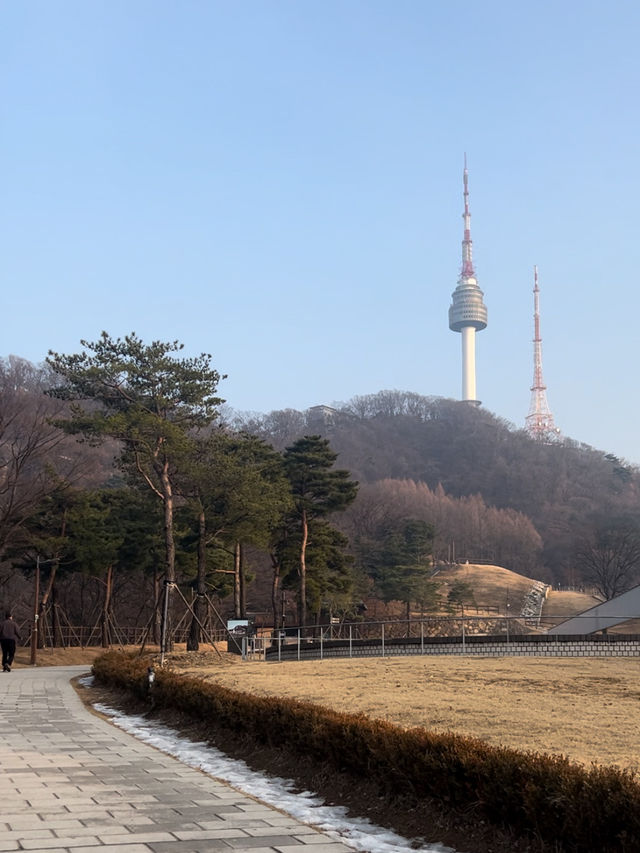 【韓国/ソウル】南山タワーを見ながらお散歩《南山公園》