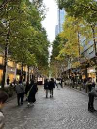 🌿 Marunouchi Street Park – 도심 속 여유, 도쿄에서 가장 세련된 쉼표