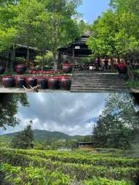 賀州好山好水好風景之旅