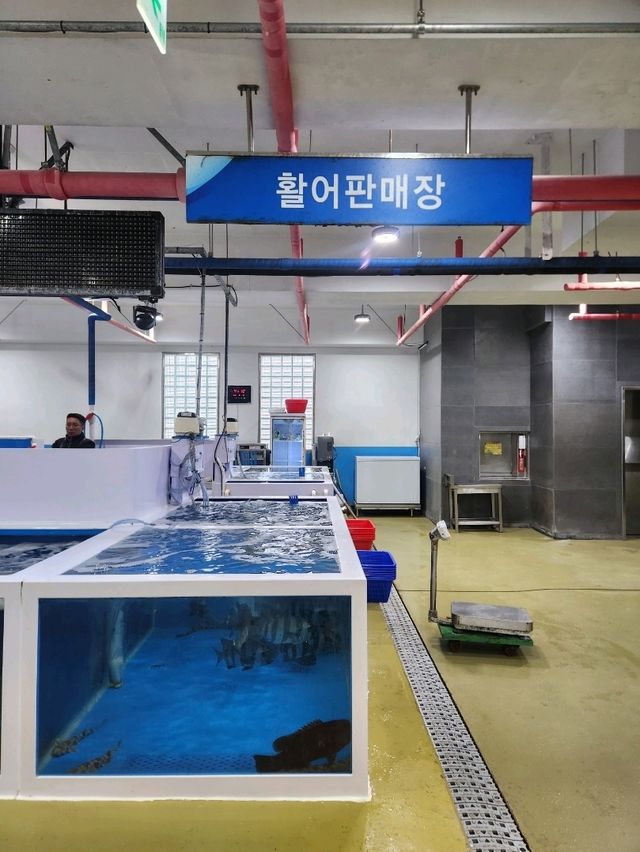 💛제주도 동쪽여행, 회포장 하기 좋았던 "성산포수협 활어회센터"💛