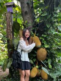 ที่พักที่ถูกต้องที่สุดด Rain Forest Resort 🌿🌲