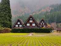 3 siblings in Shirakawago 