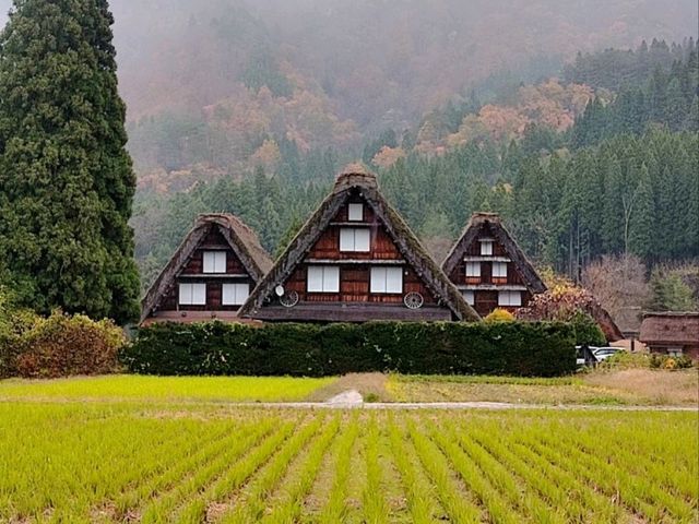 3 siblings in Shirakawago 