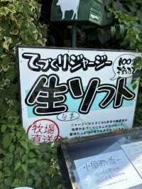 【熊本県・小国】黒川温泉に行くついでに寄って欲しいスポット！