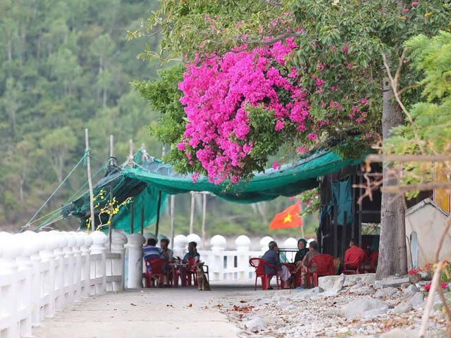 Bích Đầm