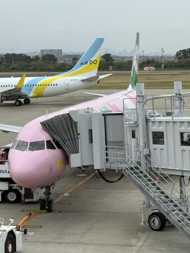 EVA Airline from BKK to SENDAI