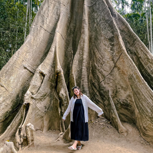 11 พิกัดที่ อุทัยธานี 🌳