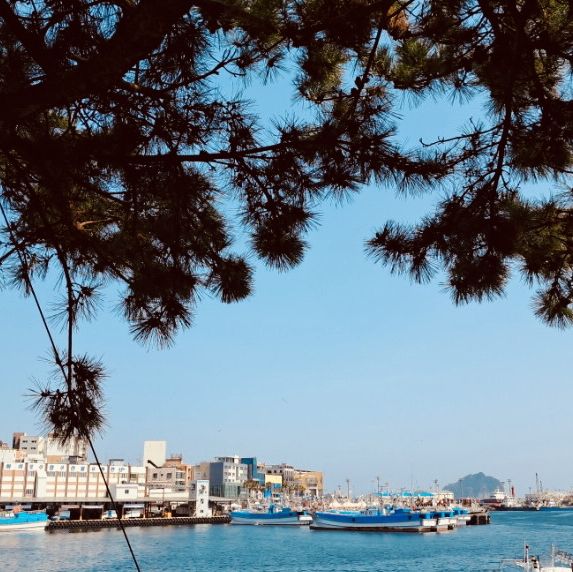 Awesome Coastal Vibes at Seogwipo Marine Park! 😎