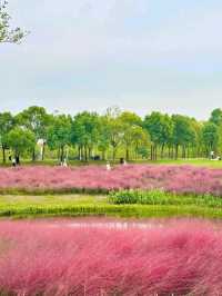 Binjiang Forest Park – Phase II: A Tranquil Escape in Shanghai’s North