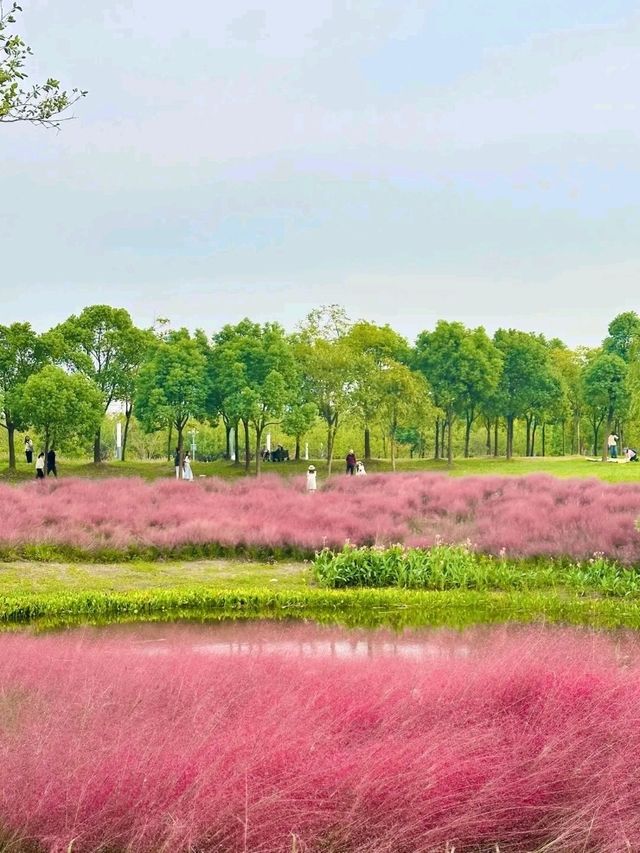 Binjiang Forest Park – Phase II: A Tranquil Escape in Shanghai’s North