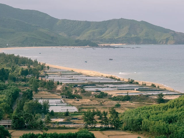 Phù Mỹ