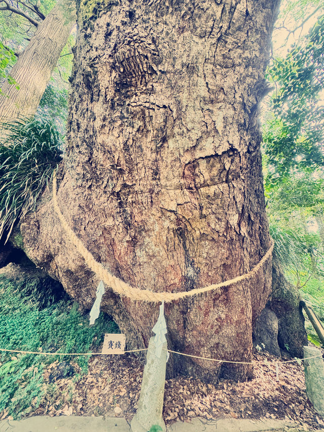 飫肥八幡神社