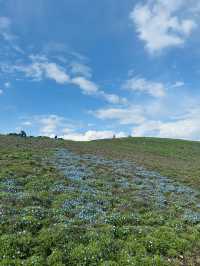 Beautiful country side in japan