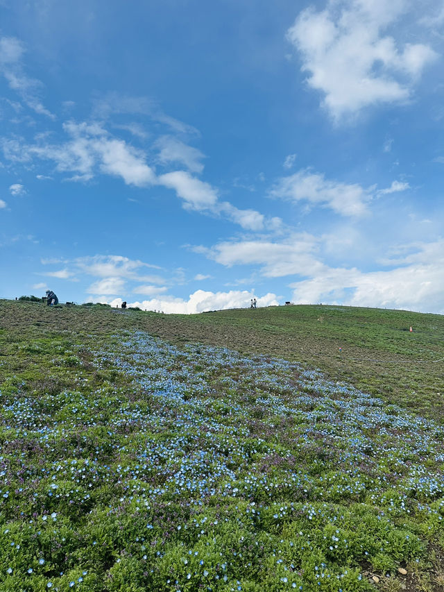 Beautiful country side in japan