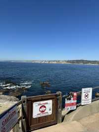 🐬 샌디에고 La Jolla Cove, 바다사자와 함께하는 해변!