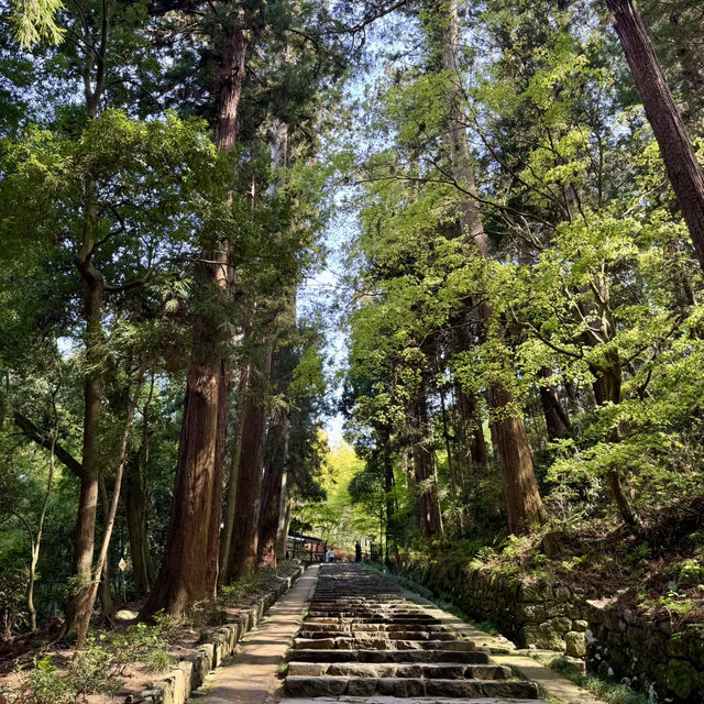 絶対に行って欲しい仙台3日間の旅行体験！