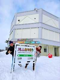 Asahikawa Winter Escape: Snow Sculptures, Penguins & Private Onsen Bliss